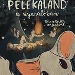 Durica Katarina - Pelekaland a nyaralóban fotó