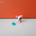 Eredeti Hasbro LPS Littlest Pet Shop Singles készlet kisállat kiegészítőkkel ! Cica ! LPS 2291 fotó