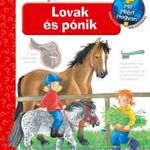 Andrea Erne - Lovak és pónik - Mit? Miért? Hogyan? fotó