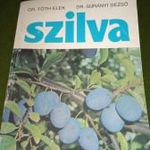 DR.TÓTH-DR.SURÁNYI 1980 SZILVA (TERMESZTÉS, FAJTÁK, ÜLTTETVÉNYEK) fotó