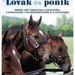 Lovak és pónik fotó