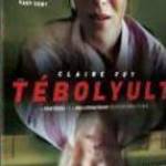 Tébolyult (2018)-eredeti dvd-bontatlan! fotó