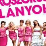 KOSZORÚSLÁNYOK (2011) DVD - Kristen Wiig, Rose Byrne, Jon Hamm, Melissa McCarthy fotó