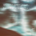 Balázs Elemér Group – Sounds Of Diversity fotó