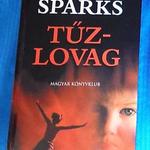 Nicholas Sparks: Tűzlovag (2002) fotó