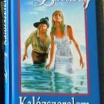 Johanna Lindsey: Kalózszerelem (2003) fotó