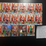 Match Attax 2015-2016 Southampton focis sportkártya 14db + 3 db extra kártya fotó