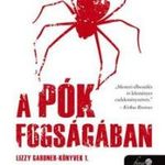 A pók fogságában (Lizzy Gardner-könyvek 1.) fotó