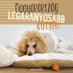 - - Magyarország legaranyosabb kutyái fotó