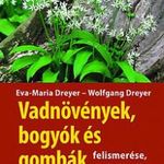 Vadnövények, bogyók és gombák felismerése, gyűjtése és felhasználása (*48) fotó