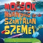 Mocsok műanyag és számtalan szemét fotó