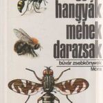 Legyek, hangyák, méhek, darazsak fotó