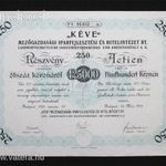 KÉVE Mezőgazdasági Iparfejlesztési és Hitelintézet részvény 125000 korona 1924 fotó