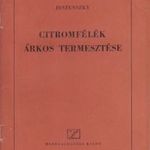 Citromfélék árkos termesztése kertészet fotó