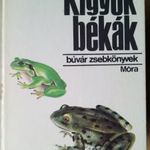 Janisch Miklós: Kígyók, békák fotó