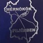 Mérnökök Fejérben 2011 fotó