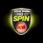 King of Spin VR (PC - Steam elektronikus játék licensz) fotó