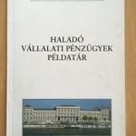 Haladó vállalati pénzügyek példatár .c. tankönyv fotó