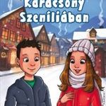 Habo Márta - Karácsony Szeníliában fotó