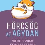 Hörcsög az agyban - Miért eszünk kényszeresen? fotó