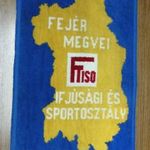 Retro fali szőnyeg Fejér megyei ifjúsági sport fotó