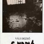 Váli Dezső C. ?Napló 1958- 1992 fotó