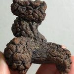 FOSSZÍLIA Dinosaur fossil defactum Coprolite, Arizona fossil dung ~ 200 millió éves EXTRA méretű fotó