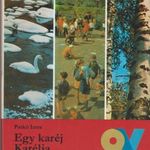 Patkó Imre: Egy karéj Karélia (1982) fotó