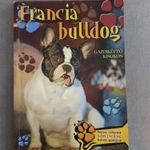 Francia bulldog - Gazdiképző kisokos fotó