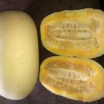 Sziámi óriás / Siamese Giant UBORKA - Cucumis sativus (5+) magok - THAIFÖLDI RITKASÁG! - Cu 056 fotó