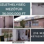 Utcai bejárattal Üzlethelyiségek Mezőtúr fotó