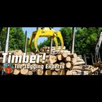 Timber! The Logging Experts (PC - Steam elektronikus játék licensz) fotó