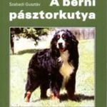 Szabadi Gusztáv: A berni pásztorkutya (2005) fotó