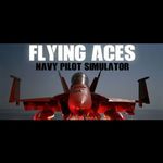 Flying Aces - Navy Pilot Simulator (PC - Steam elektronikus játék licensz) fotó