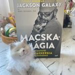 RITKA! Jackson Galaxy: Macskamágia fotó