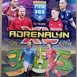 441 darab focis kártya, teljes, kigyűjtött Panini FIFA 365: 2024-2025 albummal díszdobozokkal fotó