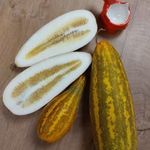 Malabári SÁRGADINNYE, Malabári uborka - Cucumis maderaspatensis- (5+) magok - RITKASÁG! - Cu 049 fotó