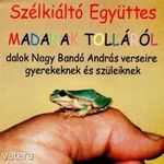 Szélkiáltó - Madarak tolláról (CD) fotó