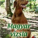 Füzesiné Szegvári Zsuzsa: Magyar vizsla (2012) fotó