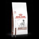 Royal Canin Hepatic - száraz gyógytáp májbeteg felnőtt kutyák részére 7 kg fotó