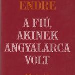 Fejes Endre: A fiú, akinek angyalarca volt (1982) fotó