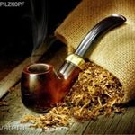 "Burley Tobacco"Burley Dohány magok!Friss 80db mag fotó