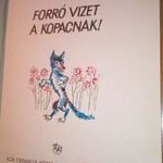 Forró vizet a kopacnak! Hajdu Zoltán Ion Creanga Könyvkiadó, 1972 RITKA MESEKÖNYV fotó