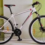 Galano Toxic, 29", 48 cm, mechanikus tárcsafékes, 2024 őszi, kb. ötven km-t futott, karcmentes MTB fotó