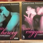 Christine Feehan - A Kárpátok vámpírjai (Sötét herceg, Sötét vágyak) fotó