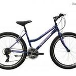 Neuzer Nelson 50 női 19" MTB kerékpár Kék fotó