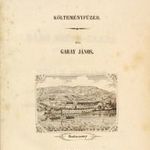 1848 Garay János - Balatoni Kagylók - címlapon Badacsony látképe szép példány / RITKA! (*412) fotó