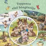 Disney Nyuszik - Toppancs első böngészője fotó