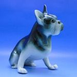 0A605 Royal Dux porcelán bulldog kutya figura fotó