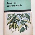 Borsó- és babtermesztés fotó